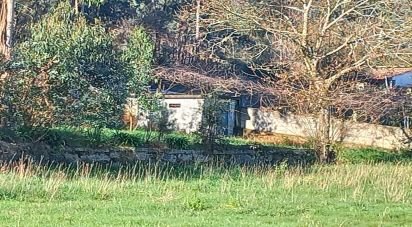 Terrain à Pereira de 3 800 m²