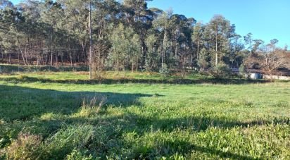 Terrain à Pereira de 3 800 m²