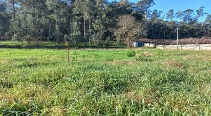 Terrain à Pereira de 3 800 m²