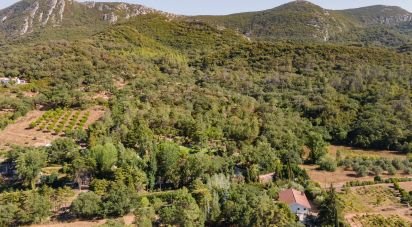 Farm T6 in Azeitão (São Lourenço e São Simão) of 250 m²