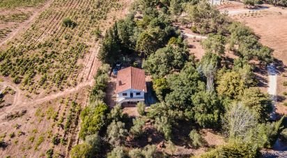 Farm T6 in Azeitão (São Lourenço e São Simão) of 250 m²