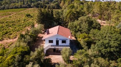 Farm T6 in Azeitão (São Lourenço e São Simão) of 250 m²