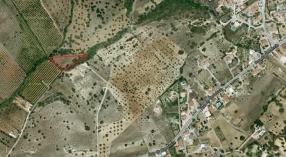 Terrain à Almancil de 3 855 m²