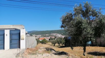 Terrain à Porto de Mós - São João Baptista e São Pedro de 2 800 m²