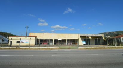 Boutique/Local commercial à São Miguel, Santa Eufémia e Rabaçal de 410 m²