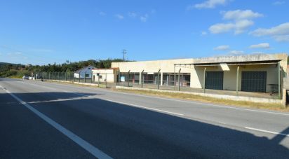 Boutique/Local commercial à São Miguel, Santa Eufémia e Rabaçal de 410 m²