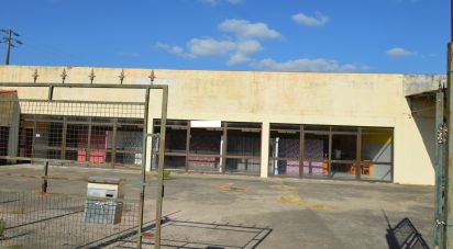 Boutique/Local commercial à São Miguel, Santa Eufémia e Rabaçal de 410 m²