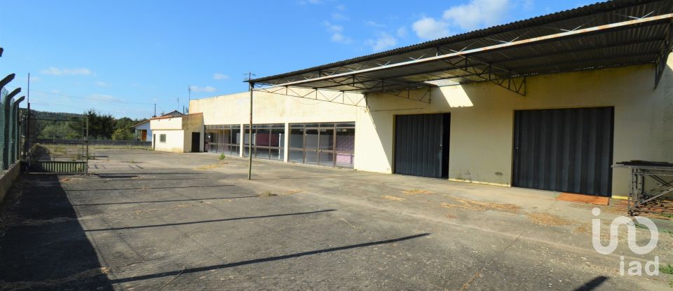 Shop / premises commercial in São Miguel, Santa Eufémia e Rabaçal of 410 m²