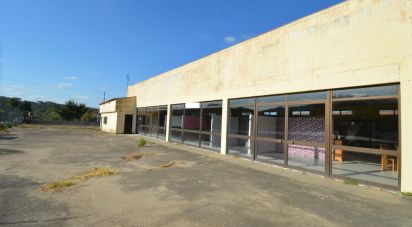 Boutique/Local commercial à São Miguel, Santa Eufémia e Rabaçal de 410 m²
