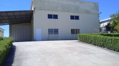 Surface diverse à Constantim e Vale de Nogueiras de 580 m²