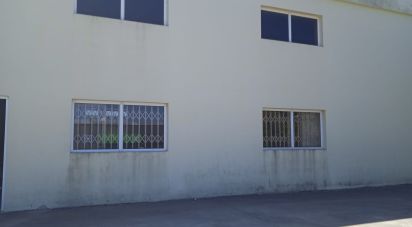 Surface diverse à Constantim e Vale de Nogueiras de 580 m²