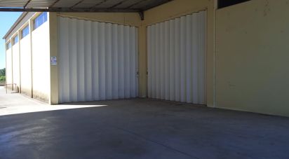 Surface diverse à Constantim e Vale de Nogueiras de 580 m²