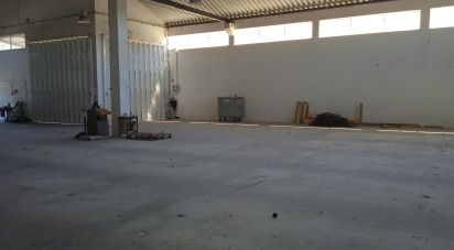 Surface diverse à Constantim e Vale de Nogueiras de 580 m²