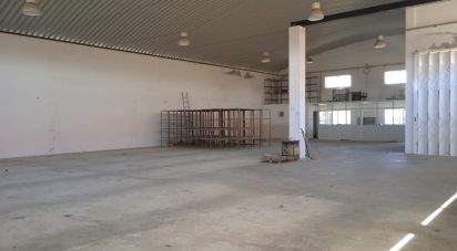 Surface diverse à Constantim e Vale de Nogueiras de 580 m²