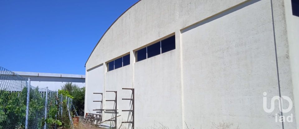 Surface diverse à Constantim e Vale de Nogueiras de 580 m²