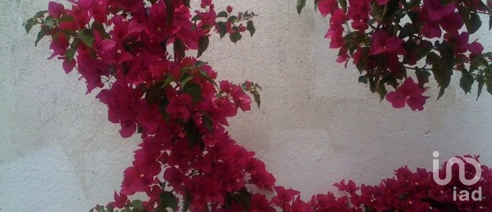 Restaurant à Tavira (Santa Maria e Santiago) de 110 m²