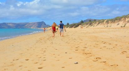 Terrain à Porto Santo de 5 581 m²