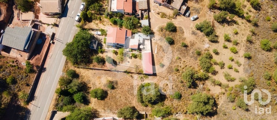 Terreno em Querença, Tôr e Benafim de 3 628 m²