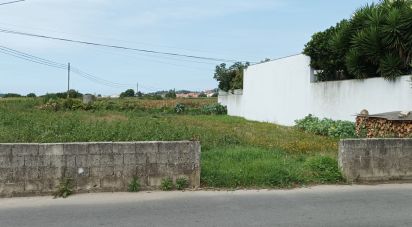 Land in Esposende, Marinhas e Gandra of 735 sq m