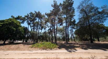 Building land in Palhais e Coina of 1,379 m²