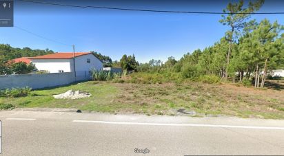 Terrain à Marinha Grande de 5 769 m²