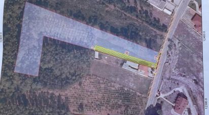 Terrain à Marinha Grande de 5 769 m²