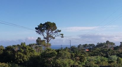 Terrain à Santa Luzia de 1 052 m²