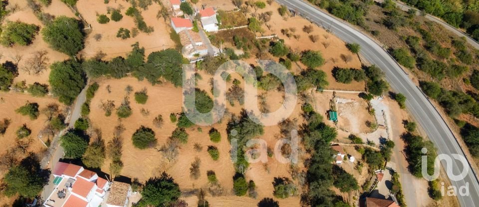 Terreno em Querença, Tôr e Benafim de 3 370 m²