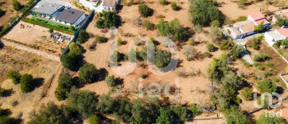 Terreno em Querença, Tôr e Benafim de 3 370 m²