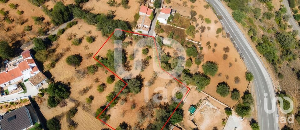 Terreno em Querença, Tôr e Benafim de 2 866 m²