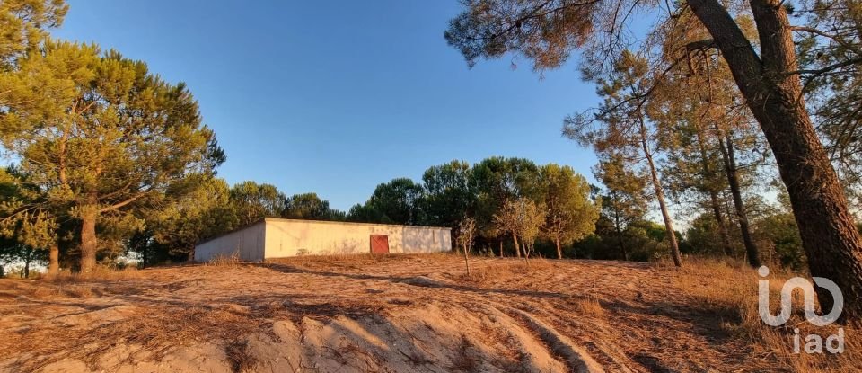 Maison traditionnelle T5 à Coruche, Fajarda e Erra de 256 m²