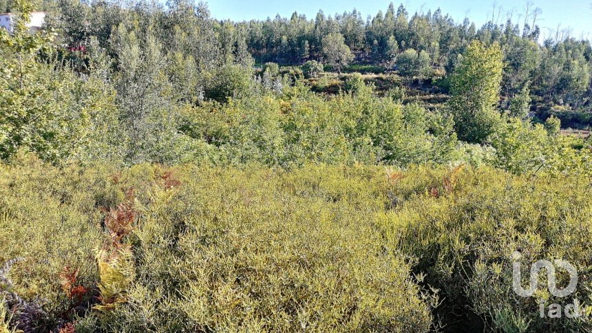 Terrain à Vila Facaia de 8 900 m²