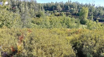 Terrain à Vila Facaia de 8 900 m²