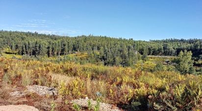 Terrain à Vila Facaia de 8 900 m²