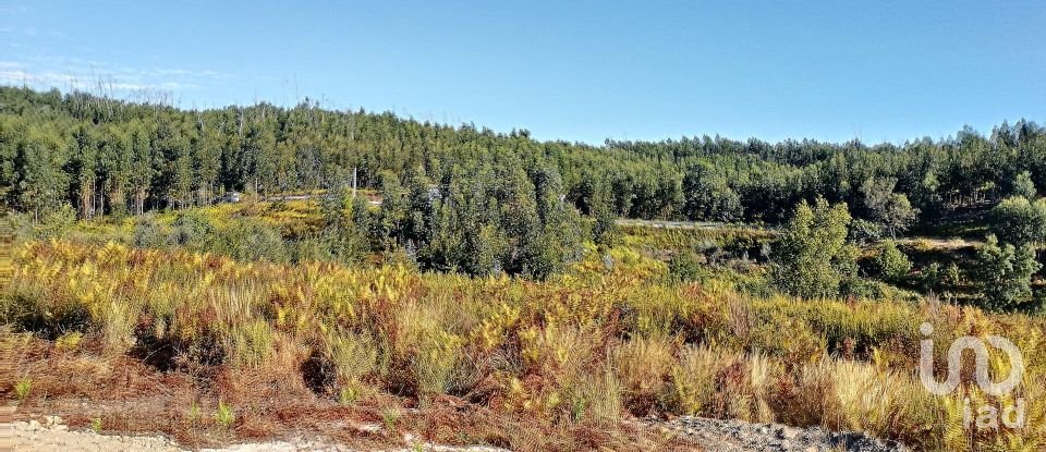 Terrain à Vila Facaia de 8 900 m²