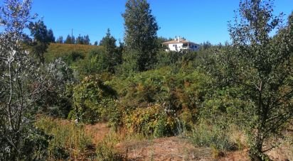 Terrain à Vila Facaia de 8 900 m²