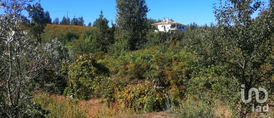 Terrain à Vila Facaia de 8 900 m²