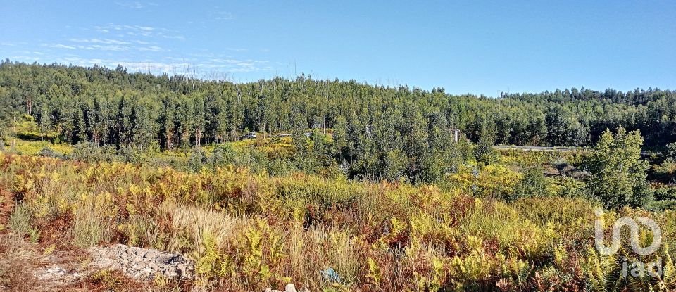 Terrain à Vila Facaia de 8 900 m²