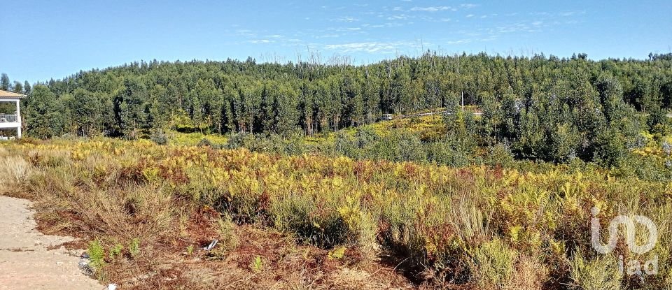 Terrain à Vila Facaia de 8 900 m²