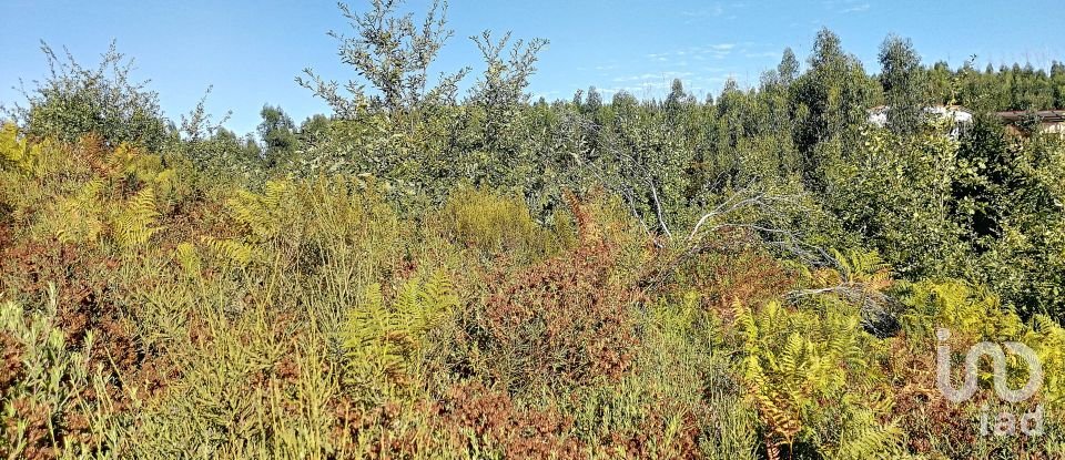 Terrain à Vila Facaia de 8 900 m²