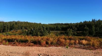 Terrain à Vila Facaia de 8 900 m²