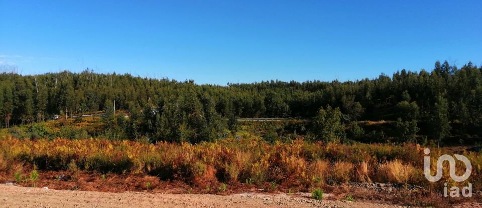 Terrain à Vila Facaia de 8 900 m²