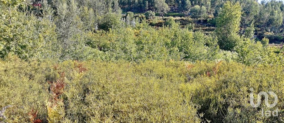 Terrain à Vila Facaia de 8 900 m²