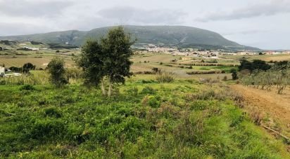 Agricultural land in Ventosa of 7,720 sq m
