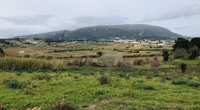 Terrain agricole à Ventosa de 7 720 m²