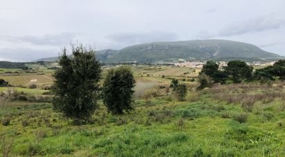 Agricultural land in Ventosa of 7,720 m²