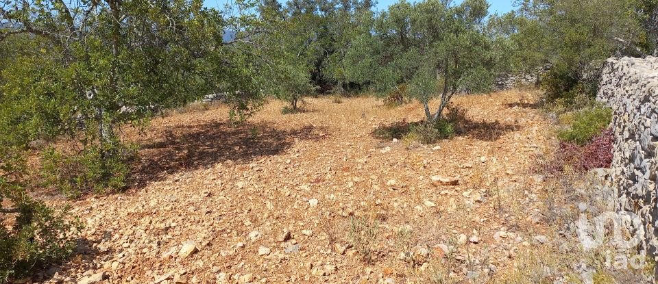 Land in Querença, Tôr e Benafim of 5,560 m²
