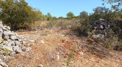 Terrain à Querença, Tôr e Benafim de 5 560 m²