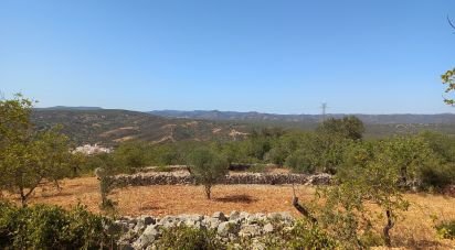 Terrain à Querença, Tôr e Benafim de 5 560 m²