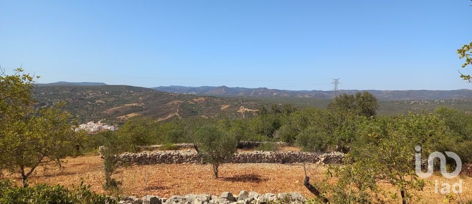 Land in Querença, Tôr e Benafim of 5,560 m²